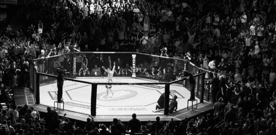 MMA Division
